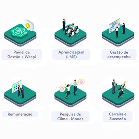 TALENT MANAGEMENT